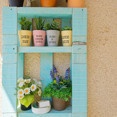 شقة & تورّيفيِخا